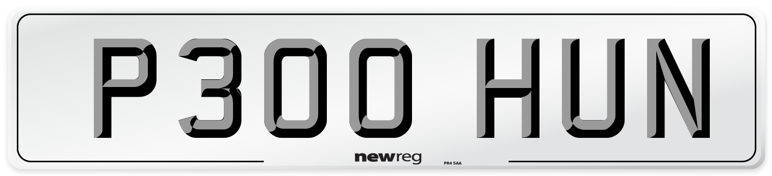 P300 HUN Number Plate from New Reg